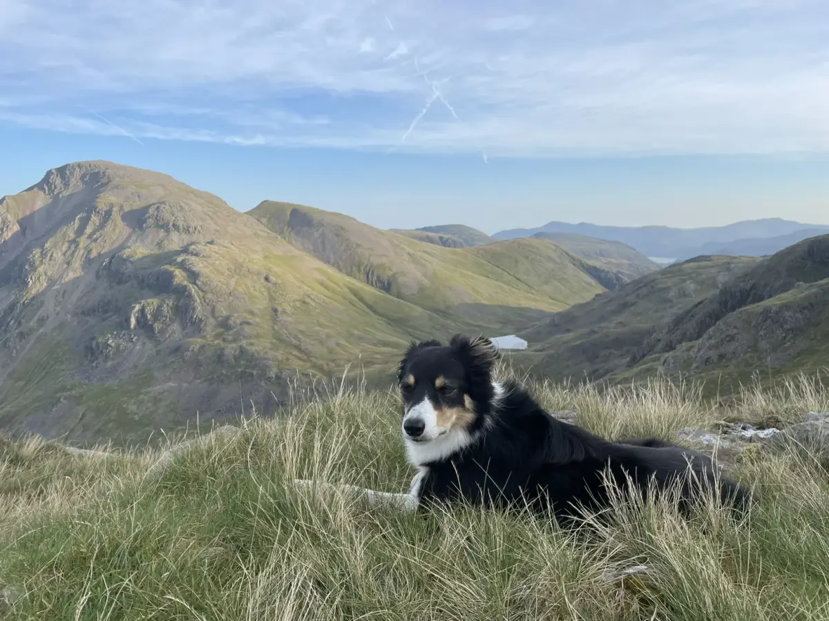 Wild camping site in the Lake District fells on a Way Out West mountain adventure